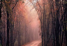 巴列卡诺主帅:我从未刻意考虑欧战,对阵西班牙人将会是一场硬战.