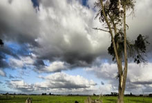 德转英超U21神童身价TOP 10,最年轻的恩瓦内里身价最高.