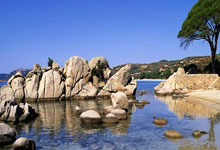 东升国际:诺里斯夺F1新赛季首站冠军 雨战引发多车退赛.